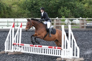 Class 3 -  Fences not above 2'3